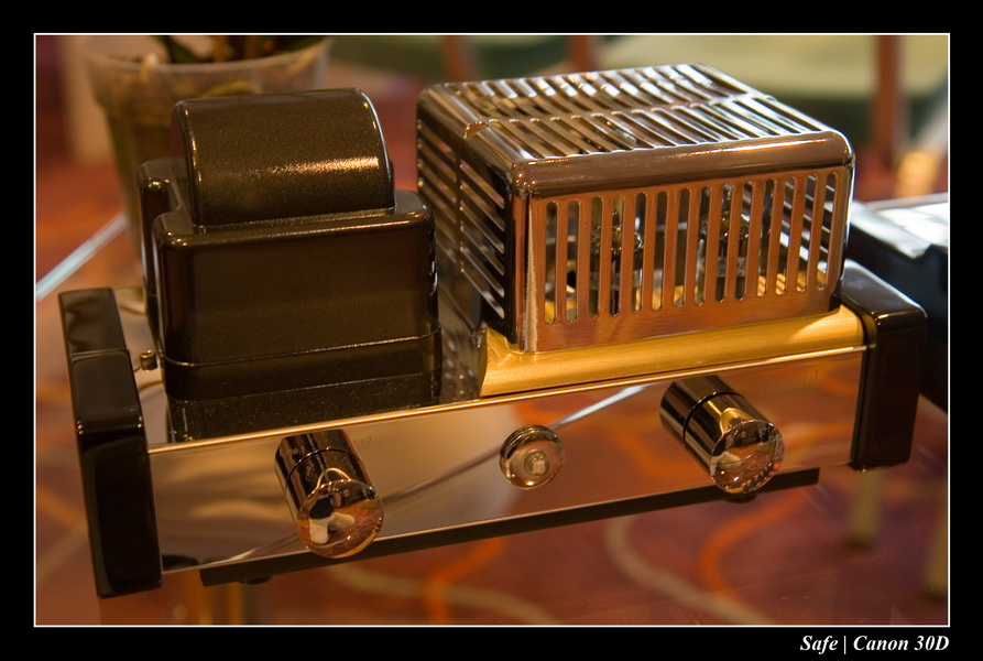 2006 - 10 - Salon hifi sofitel - 165